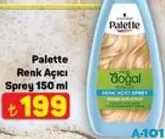 PALETTE RENK AÇICI SPREY 150 ML